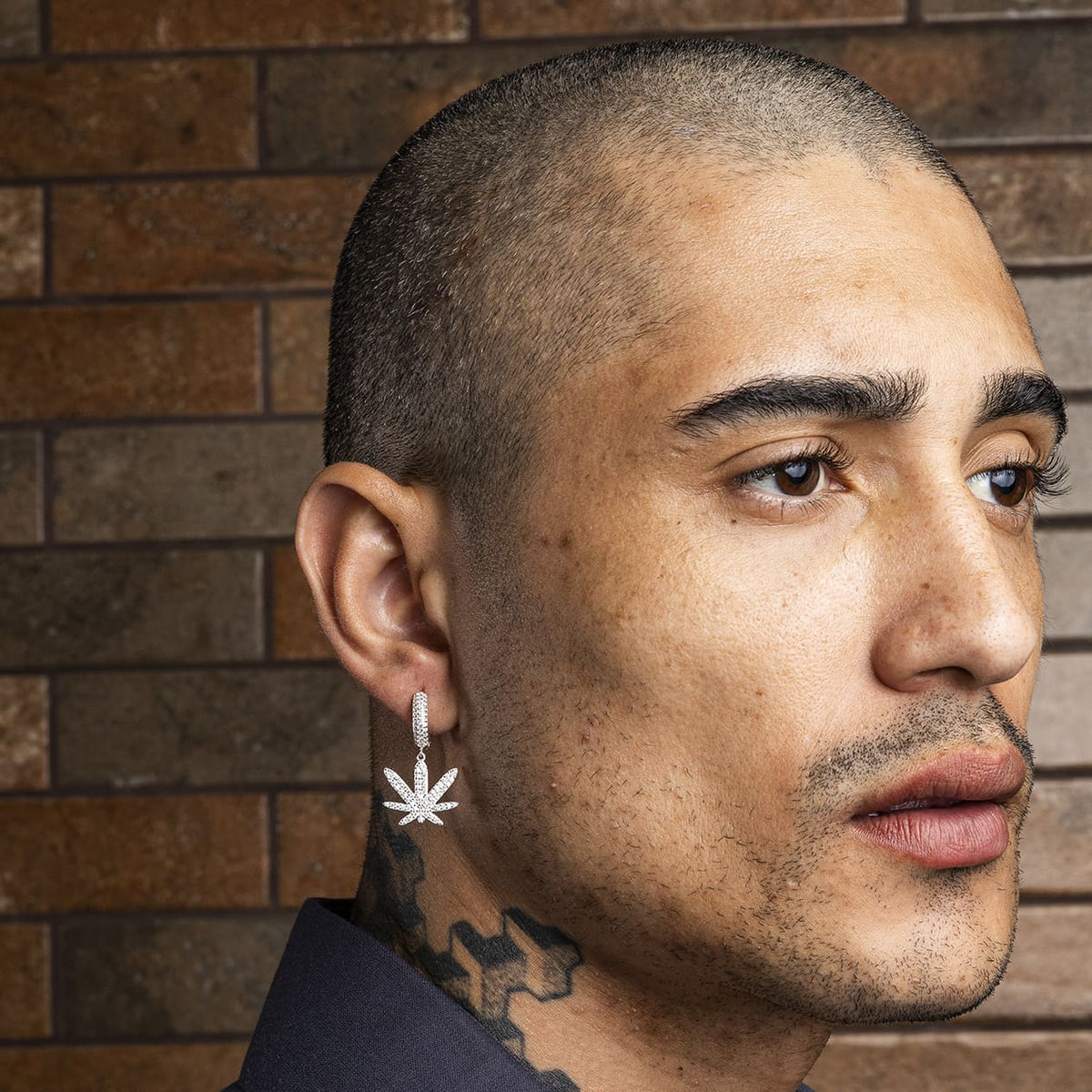 Brinco Argola ICE High